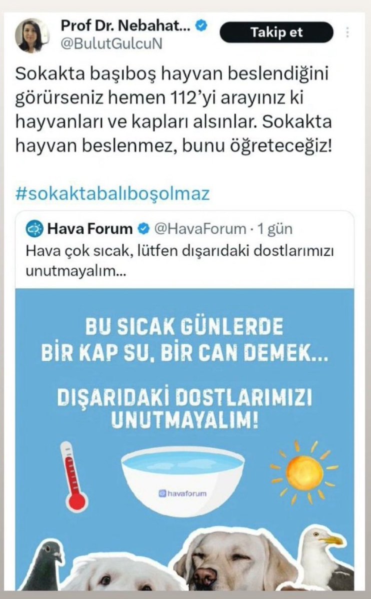 Bir “insan”a bu sözleri söyleten hastalık halini tarif etmeye kelimeler yetmez; benimse aklım bu sözler nasıl söylenir hiç almaz. Yazık, sadece üzülüyorum ve acıyorum haline. Şifa diliyorum. Umarım sana da insan olmayı öğretiriz.