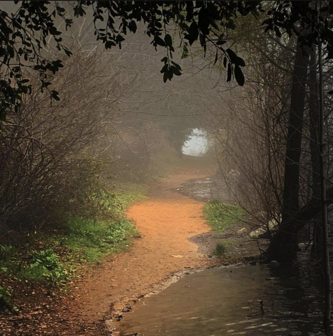 awhiskydarkly's tweet image. I wasn’t holding on because I needed you.
I was holding space because I chose to.
And when I let go,
it wasn’t a fall.
It was a return.