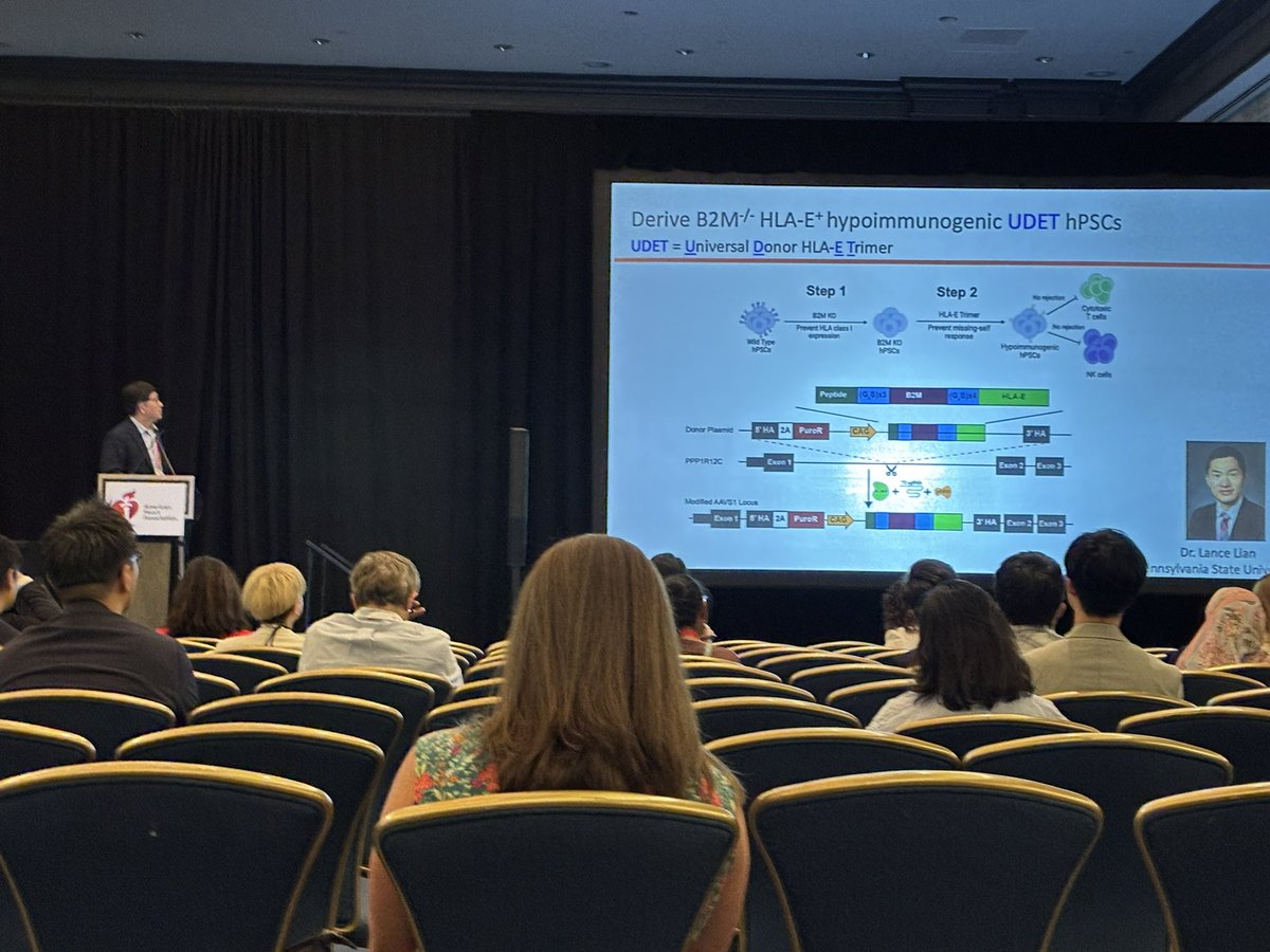 SeanM_Wu's tweet image. Cardiovascular Bioengineering is featured @AHAScience #BCVS2025 ! Wolfram Zimmerman @ Univ of Goettingen, Ke Cheng @Columbia Milica Radisic @ Univ of Toronto @ Ying Mei @ClemsonUniv & moderated by Nenad Bursac @DukeU & Kareen Coulombe @BrownUniversity Many exciting work featured!