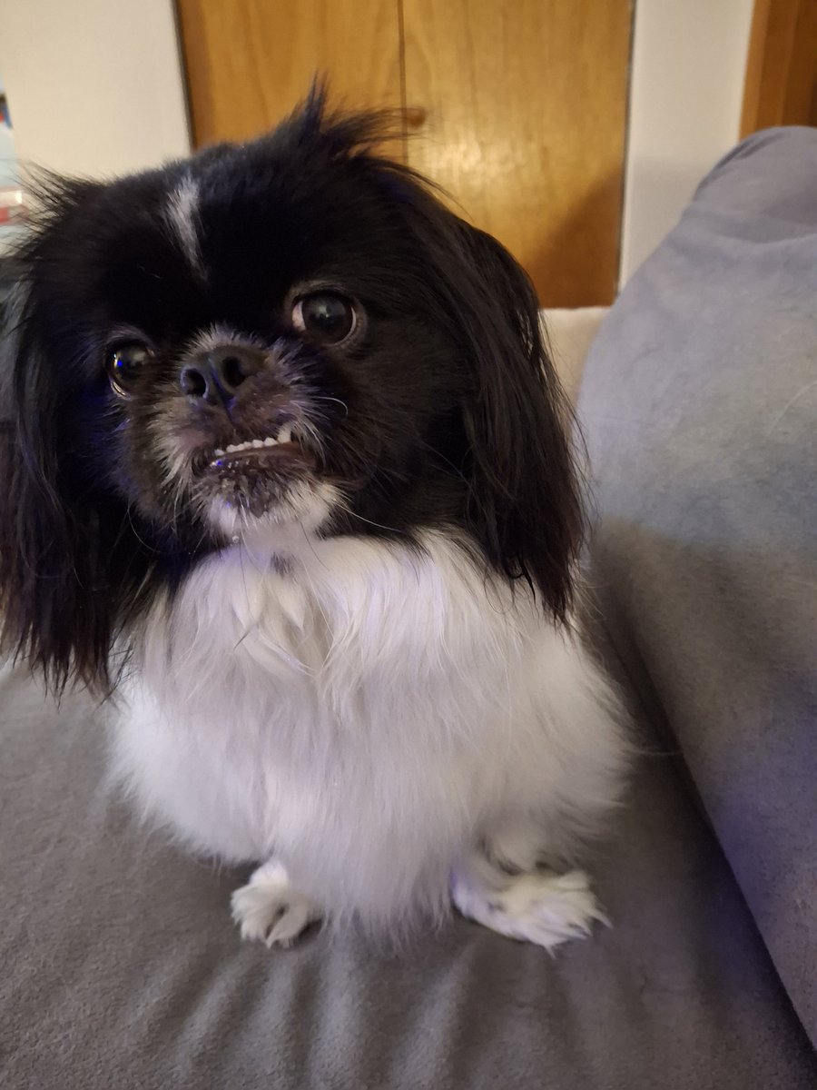 94⁰ with 104⁰ heat index. Great weather for my cactus to sprout.