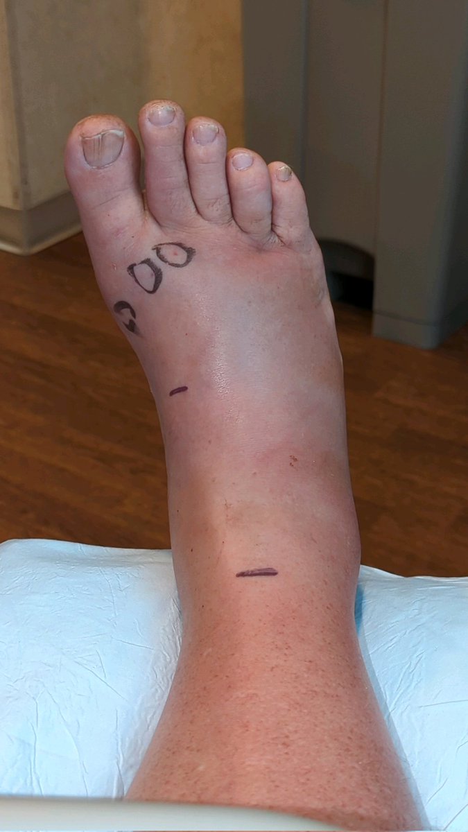 Tempus prope est. All Christians! tweet media