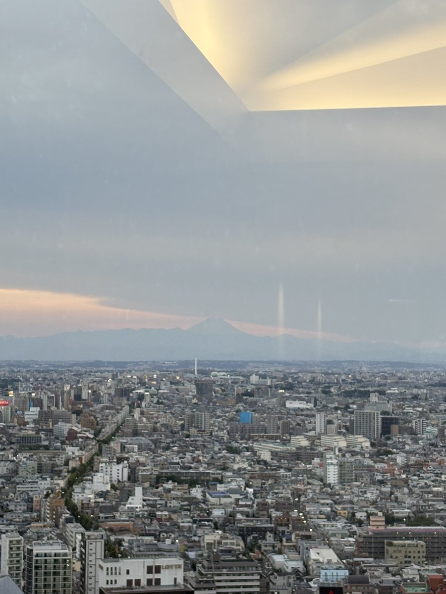 Toko 🇯🇵東京のこう tweet media