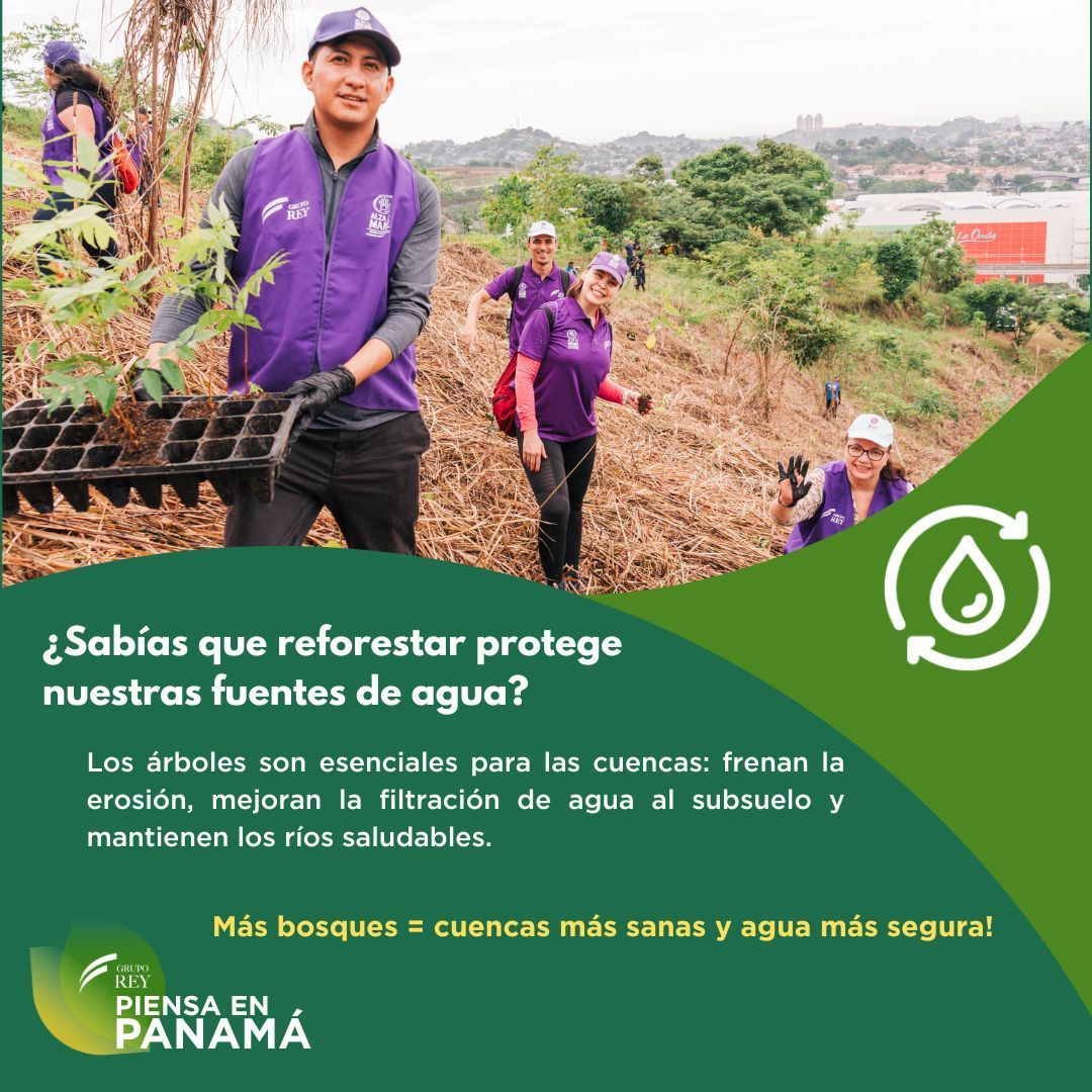 Reforestar es cuidar el planeta 🌳 y también proteger nuestras fuentes de agua 💧
 En Grupo Rey, creemos en acciones sostenibles que generan un impacto real.
 #Reforestación #PiensaEnPanamá #Sostenibilidad #RSE #CompromisoVerde
