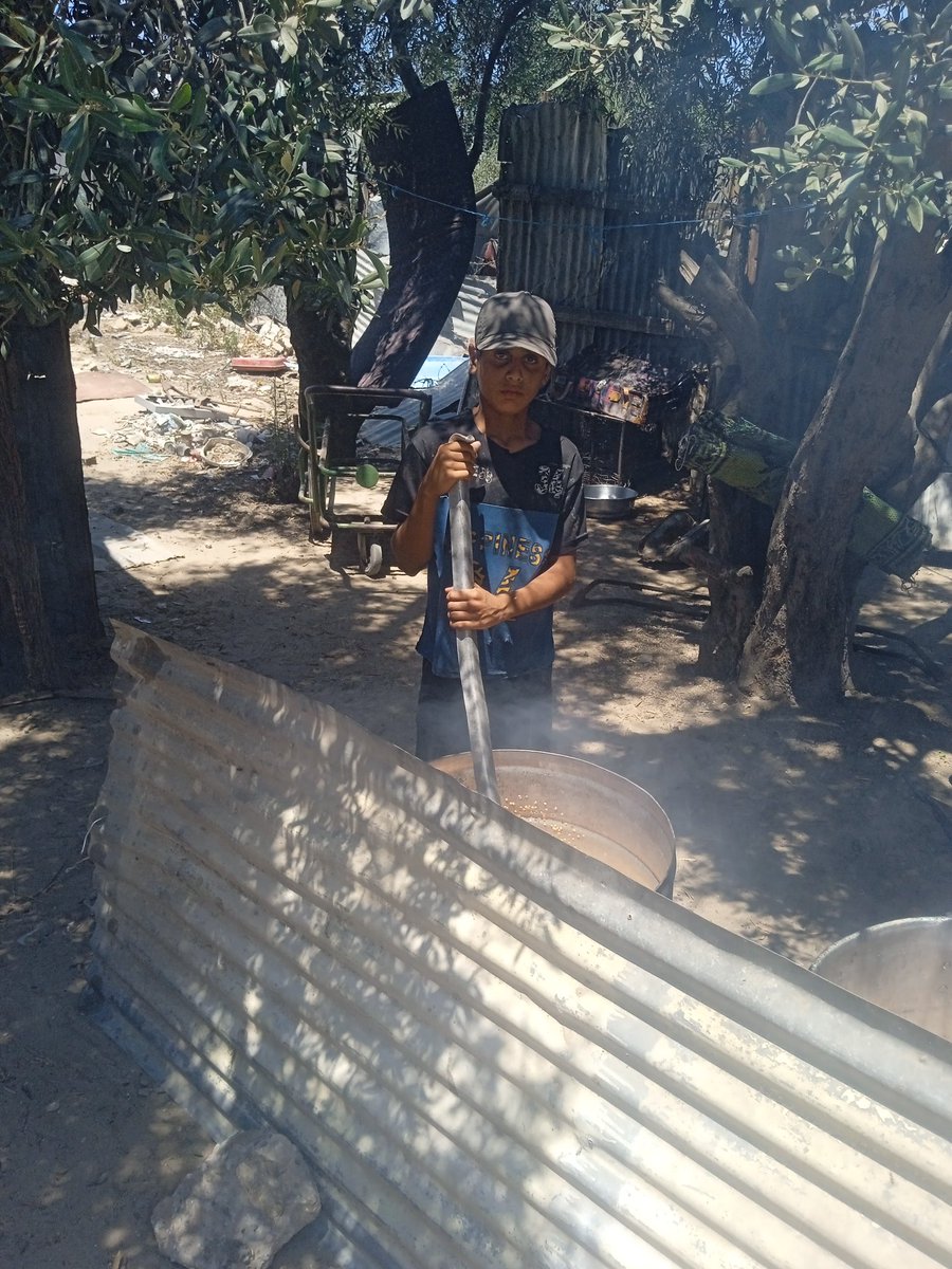 Hghi369713's tweet image. Good evening everyone. Thanks to God for your help and participation, we were able to provide a meal to the camp. In this famine that families and children are facing. Their children are starving.👇
chuffed.org/project/110595…