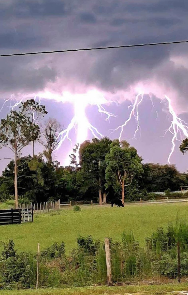 That is some scary …. in our little town of Arcadia