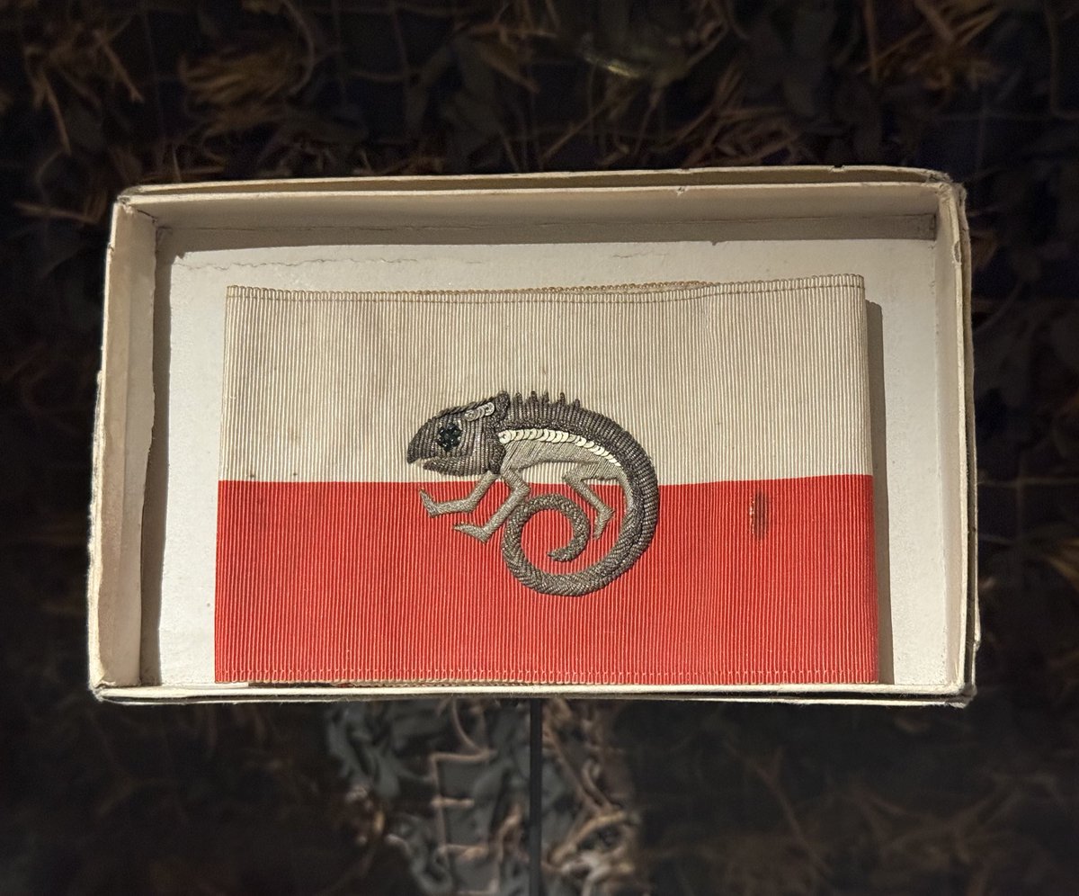 Saw a remarkable piece at the Musée de l’Armée today - an armband of the camouflage section of the French army, designated by a chameleon on the two-tones of the general staff. This was officially designated by the Ministry of War on 4 August 1915.