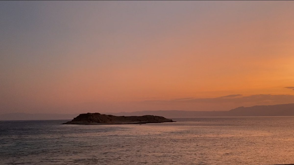 سَما الشريف tweet media