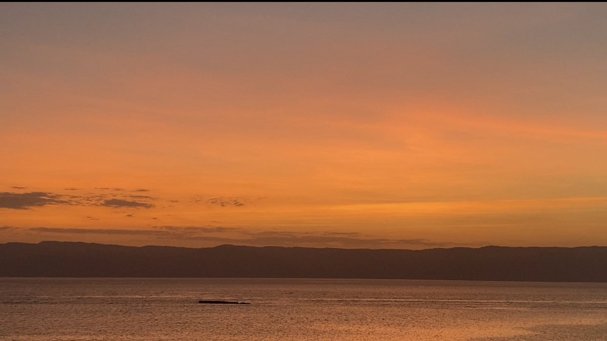 سَما الشريف tweet media