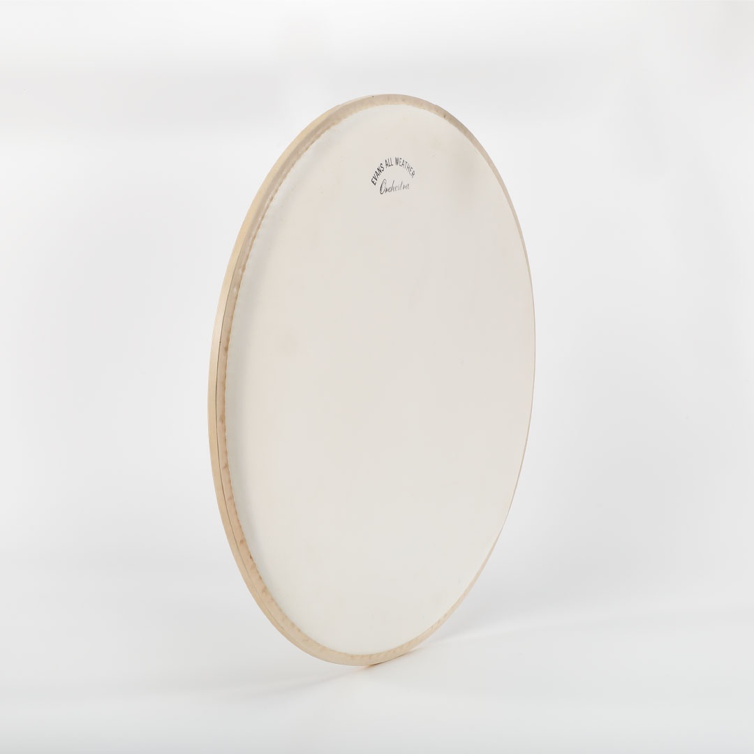 EVANS Drumheads tweet media