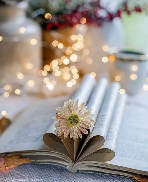 Muy buenas y dulces noches a todos #feliznoche #BuenasNoches ✨️🤗