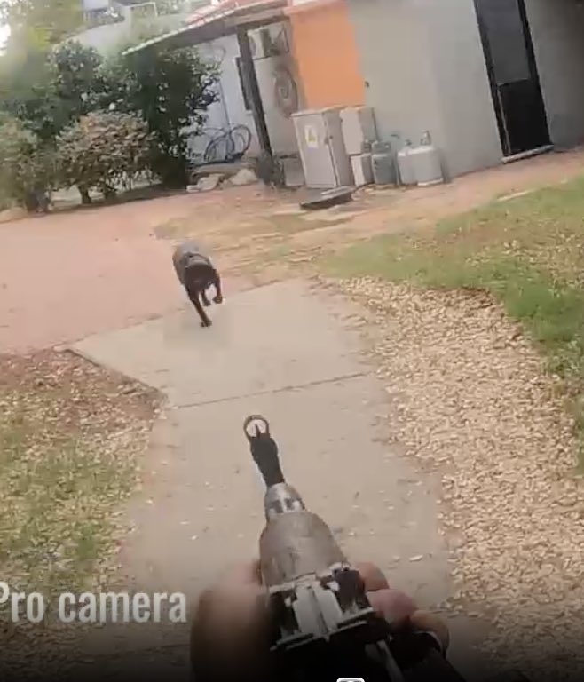 theadamholroyd's tweet image. Just casually watching some October 7 videos.
Look at this HAMAS dude shooting this lab for no reason.
Also, no one is more irritating to me than some dude in sweat pants and sandals screaming “Allahu Akbar” 100 times in a row.
