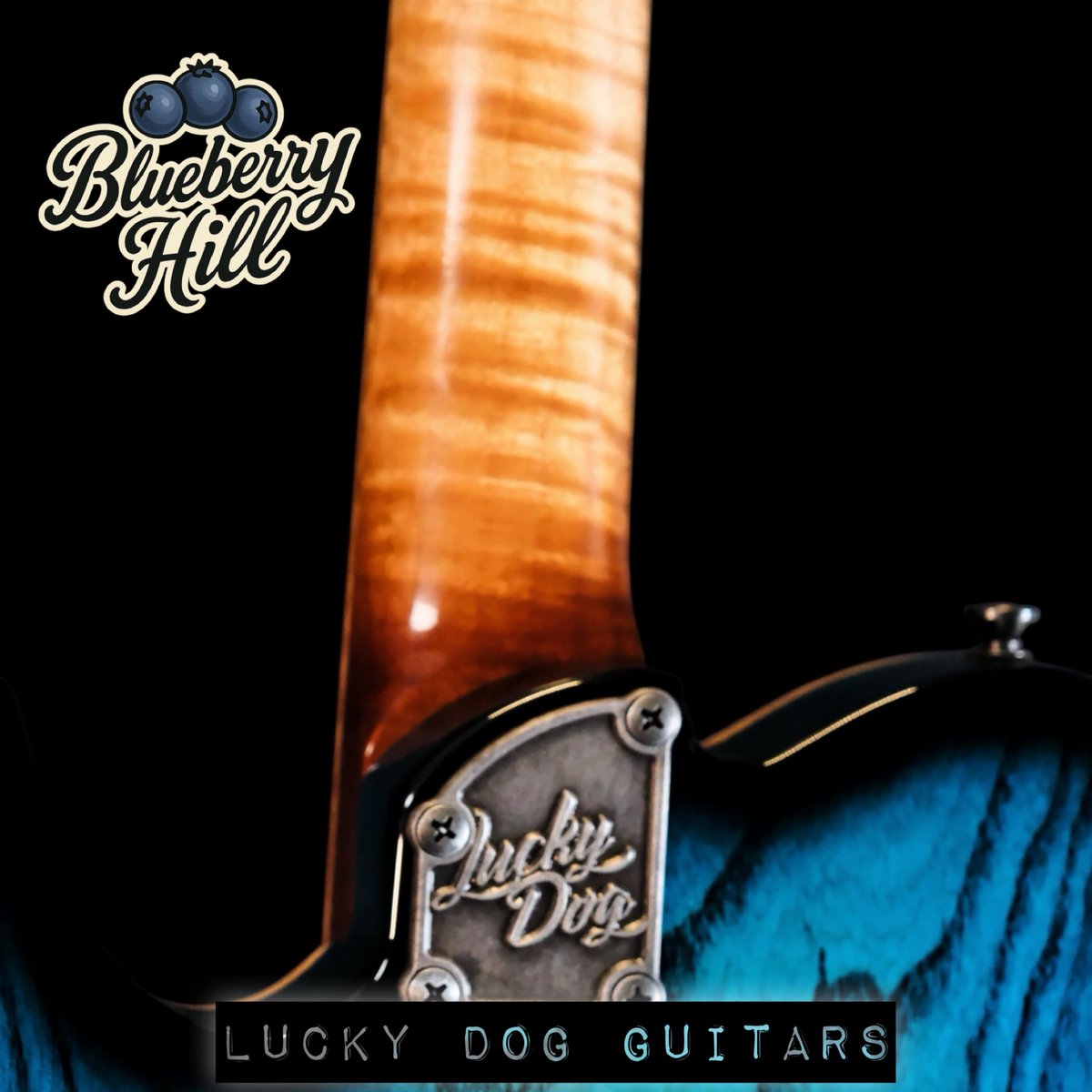 Message me for specs and purchasing info.  Lucky Dog Guitars 

 #luckydogguitars #justsaynotoboringguitars #ifitaintaluckydog #thegospeloftone #tone #toneitup #guitartone