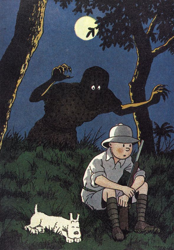 Macaron39562021's tweet image. Bonne nuit. Tintin veille.