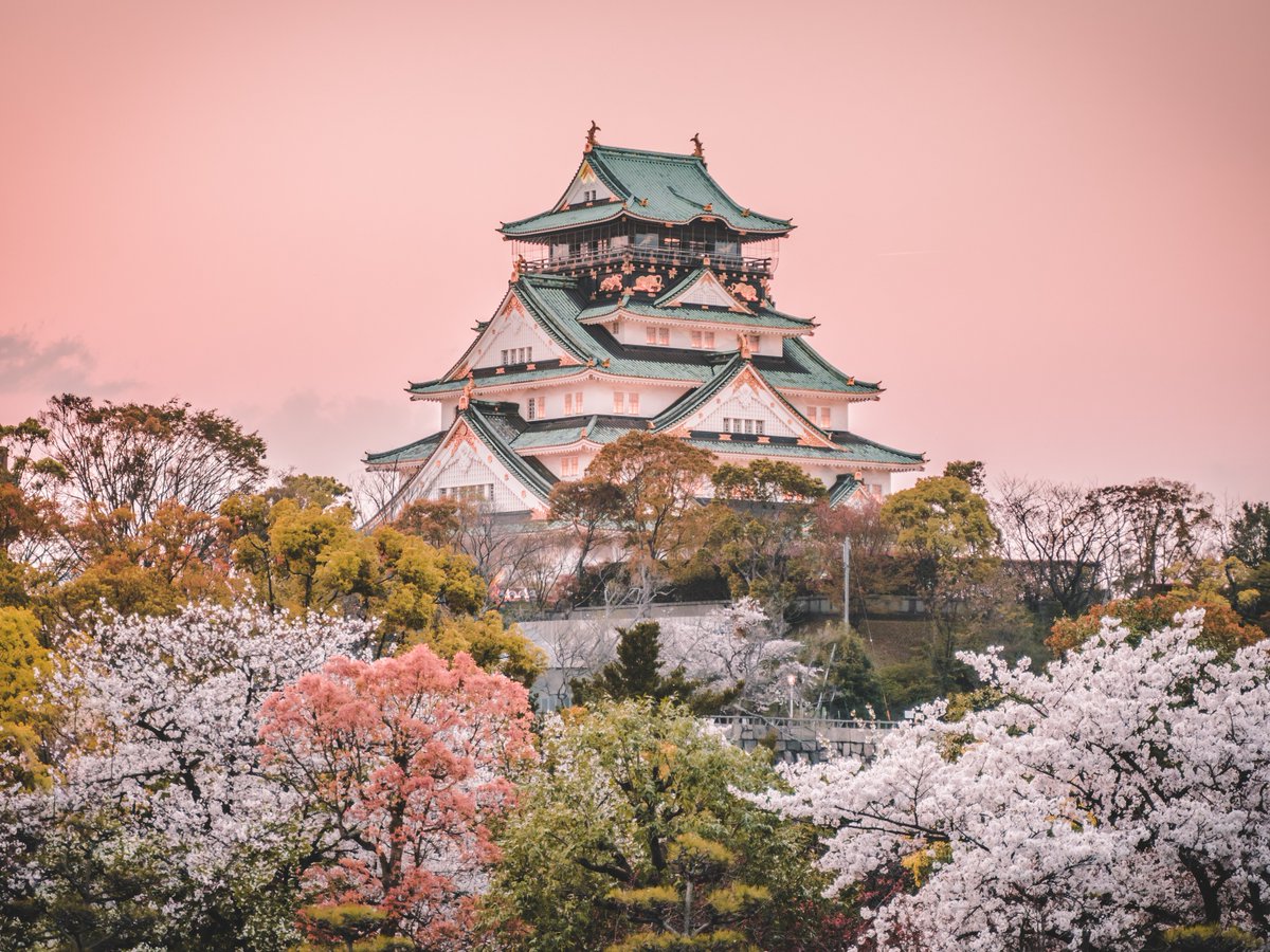 EXCLUSIVES Savings with SixStarCruises! Sail Japan in ultra-luxury with Silversea and witness cherry blossom season in full bloom 🌸

Silver Nova | 12 March 2026 | 14 nights
Classic Veranda Suite £11,010pp
➡️ sixstarcruises.co.uk/cruise/silverS…

0808 278 4192 ☎️