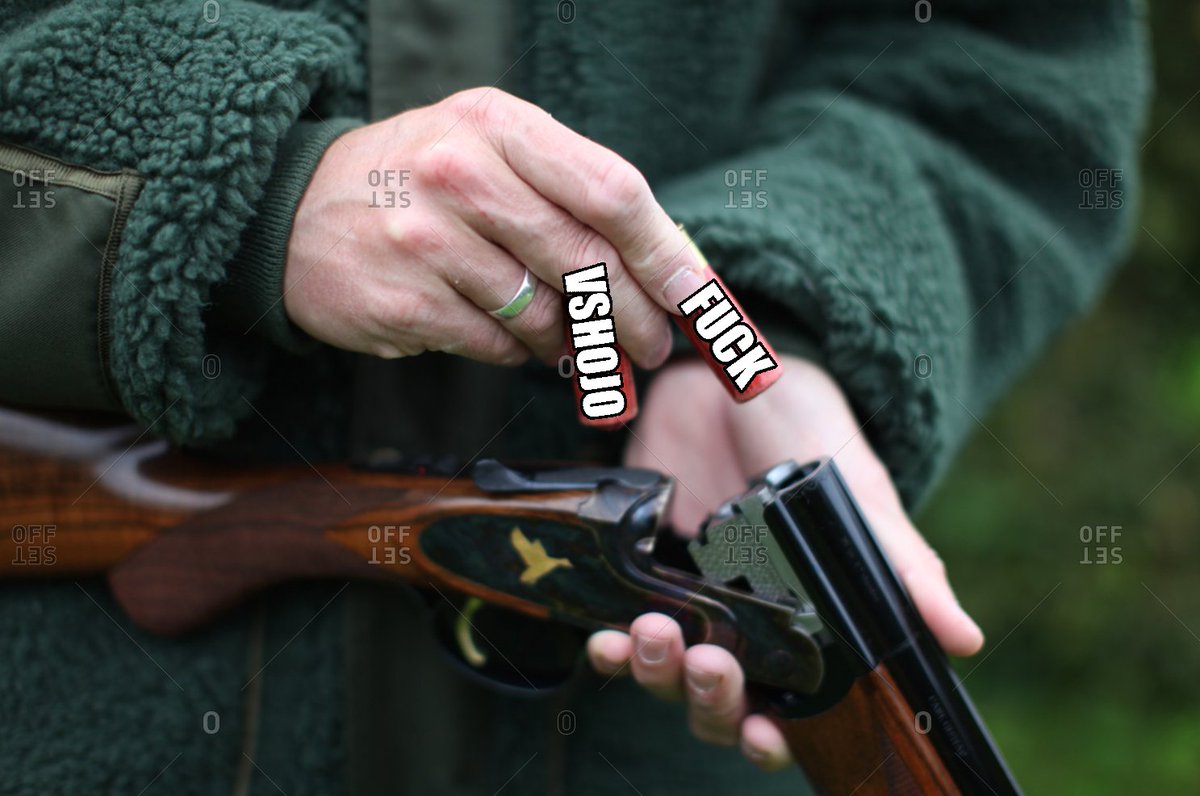 Lily opening twitter today