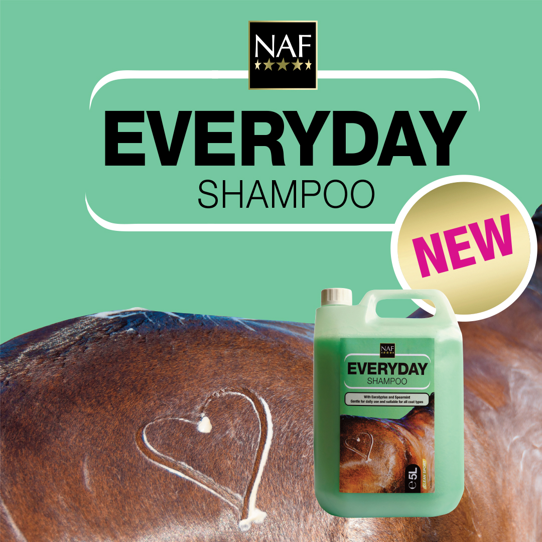 💚 NEW: Everyday Shampoo 💚

For a gentle clean with an easy-rinse formula to remove dirt, sweat and grime from your horse's coat, mane and tail. With spearmint and eucalyptus for that fresh feeling, leaving the coat shiny and soft. Perfect for regular use!