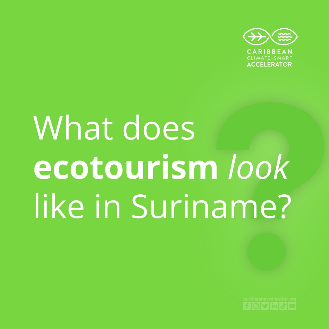 ccs_accelerator's tweet image. 🌍 How well do you know climate action in the Caribbean? 🤔 Test your knowledge with these questions: Let's see how much you know! Share your answers below and tag a friend to join the challenge. 🌱💬 #ClimateAction #QuizTime #TestYourKnowledge #Suriname