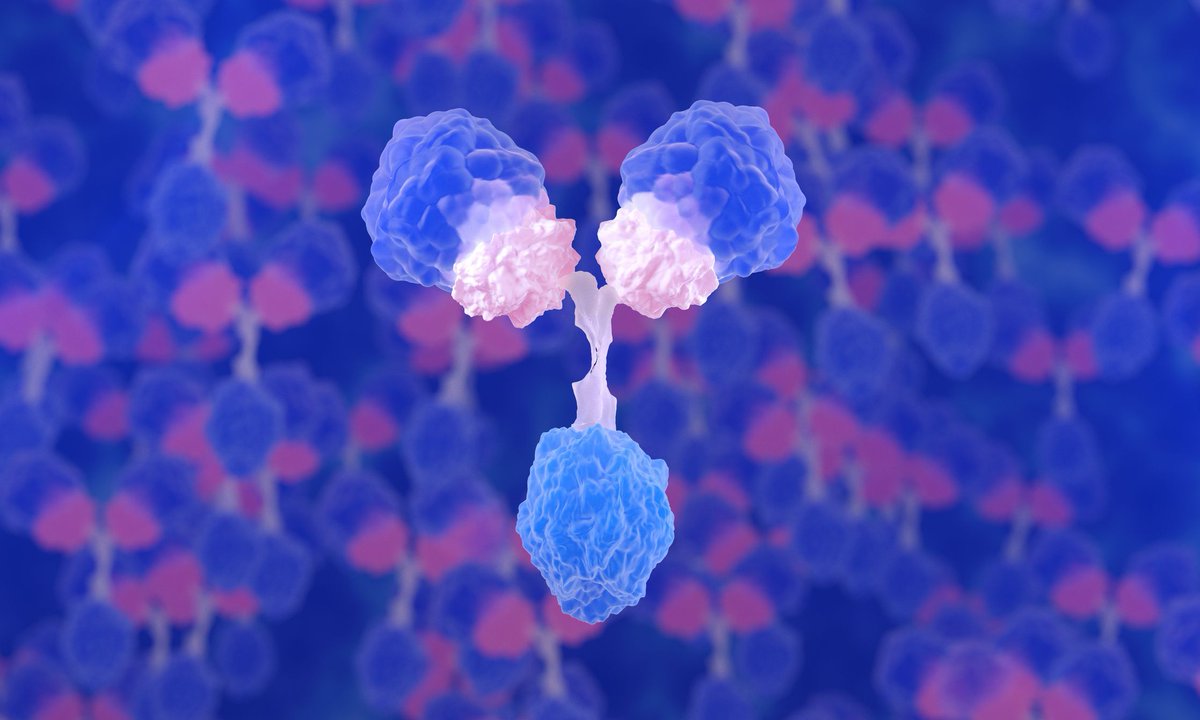 All patients with anti-BCMA/-GPRC5D naïve multiple #myeloma who received the recommended phase 2 dose of JNJ-5322 in a phase 1 study achieved an objective response.

Read more, with insight from study investigator <a href="/DrRakeshPopat/">Rakesh Popat</a> of <a href="/uclh/">UCLH</a>.

 ➡️ buff.ly/jbjYqiZ