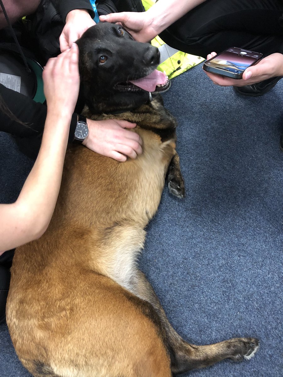 Chappers2013's tweet image. More visits for Baloo today at @EssexPoliceUK
#spreadingsmiles with so many lovely officers ππΎπΎπΎ
There was tea π« π₯°