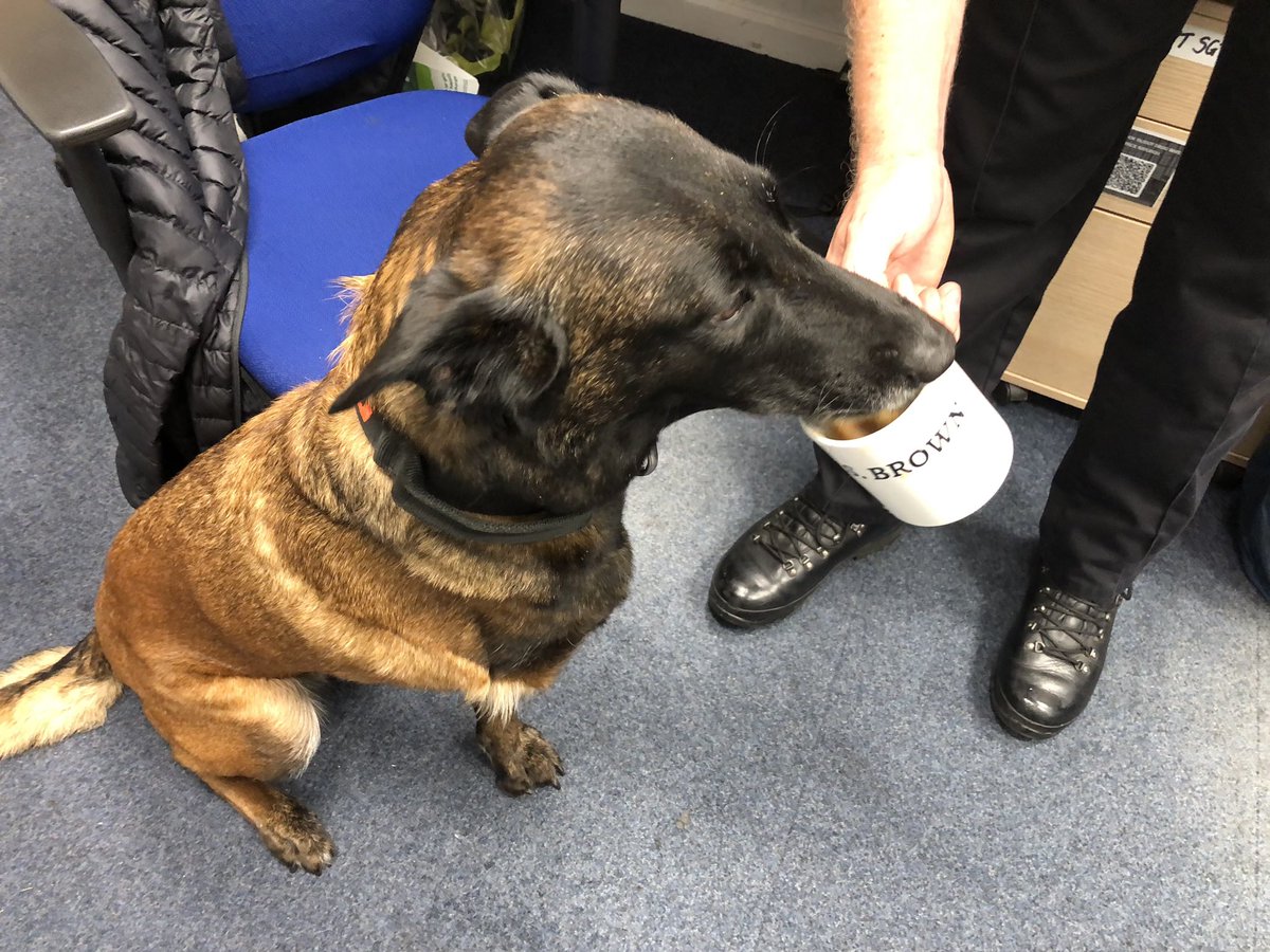 Chappers2013's tweet image. More visits for Baloo today at @EssexPoliceUK
#spreadingsmiles with so many lovely officers ππΎπΎπΎ
There was tea π« π₯°