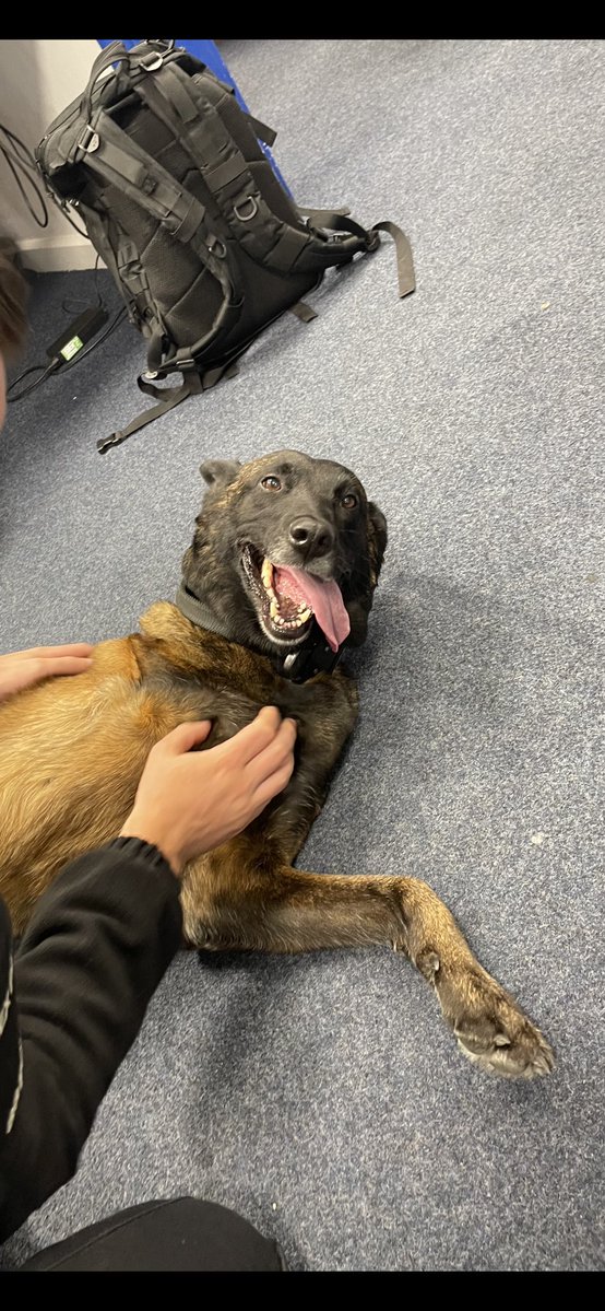 Chappers2013's tweet image. More visits for Baloo today at @EssexPoliceUK
#spreadingsmiles with so many lovely officers ππΎπΎπΎ
There was tea π« π₯°