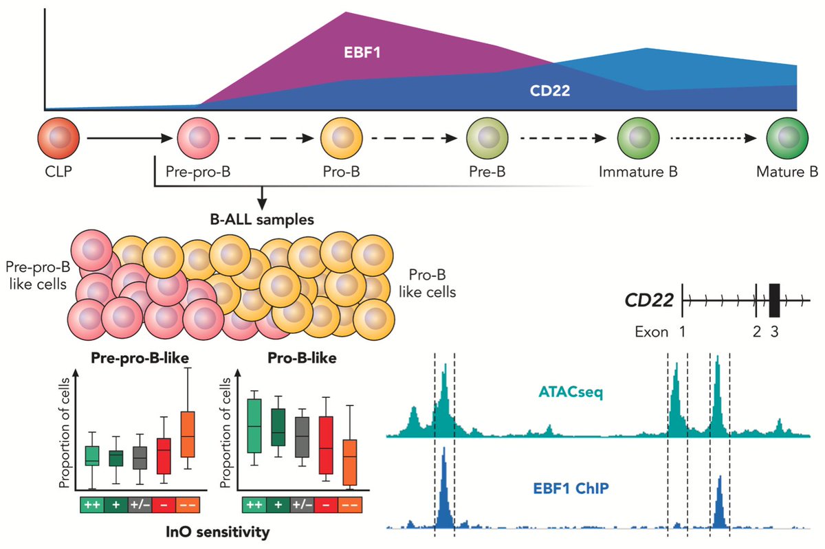 Lorenz Bastian tweet media