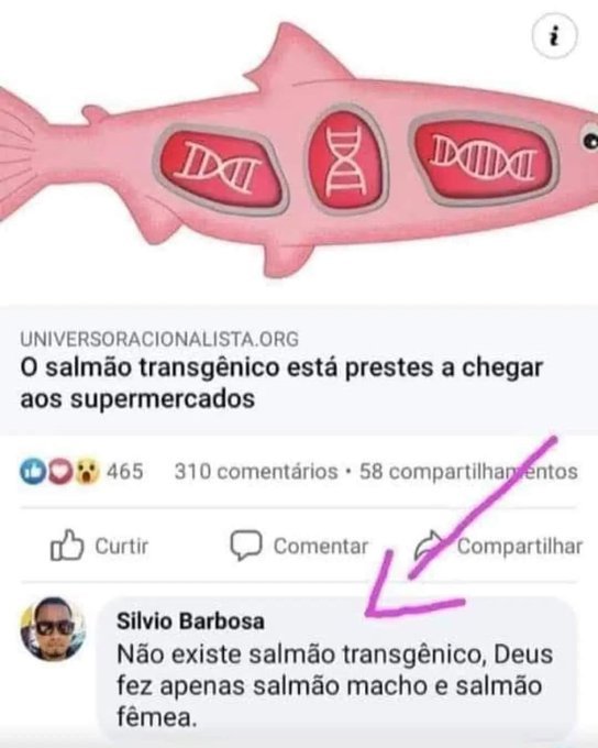 provasextinto's tweet image. 