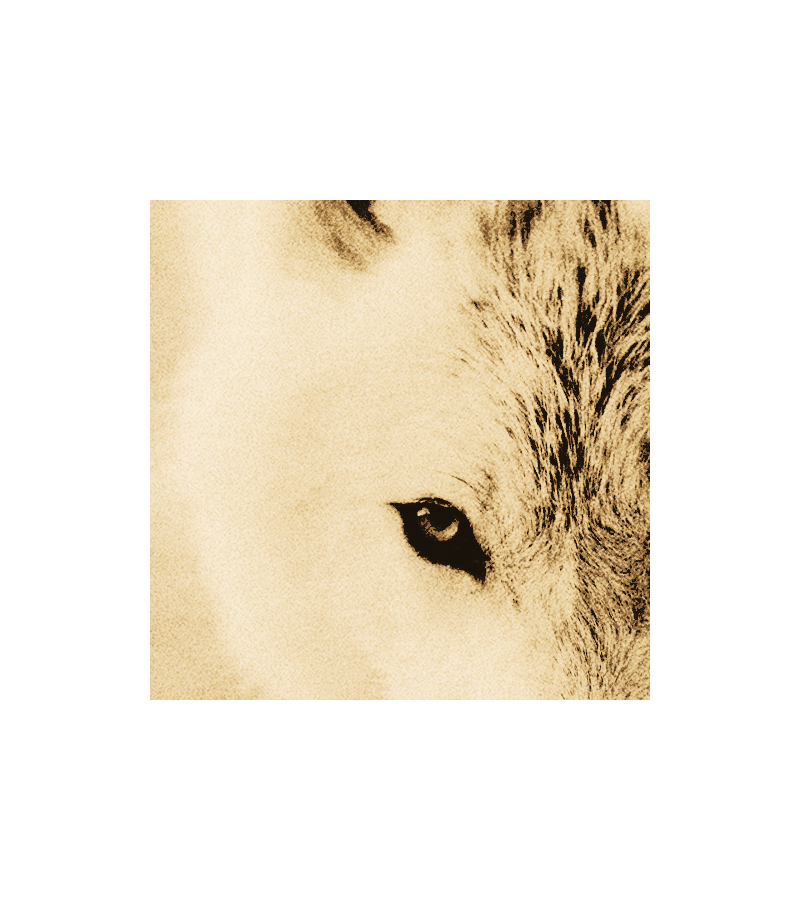 ⠀⠀           𓉸   ⠀▍⠀ 𝓪LEX 𝓶ERAZ ⠀  ཋྀ ⠀⋆♱