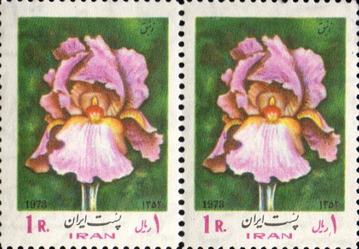 iranologyscty's tweet image. امرداد روز و امرداد ماه، #جشن_امردادگان فرخنده باد. واژۀ امرداد یعنی بیمرگی یا جاودانی، در #اوستا Amərətāt و در پهلوی Amurdād آمده است. #امرداد مظهر دوام اهورامزداست و در عالم مادی نگهبانی از گیاه بر عهدۀ این فرشته است. بگفتۀ کتاب #بندهش، گل چمبک (زنبق) مخصوص به اوست. #امردادگان