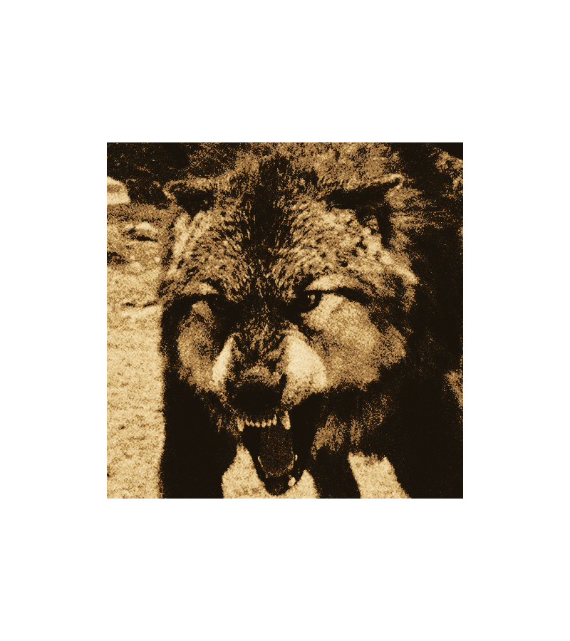 ⠀⠀        𓉸   ⠀▍⠀ 𝓱AATEPAH 𝓬LEARBEAR ⠀  ཋྀ ⠀⋆♱