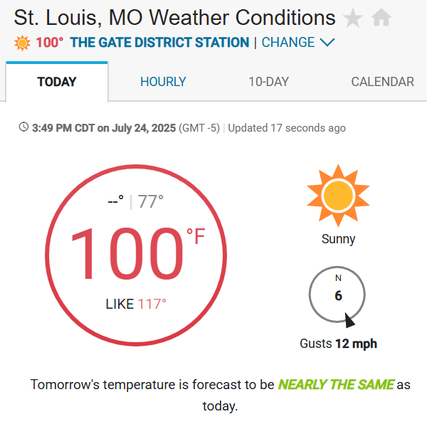 AutomataDog's tweet image. im not built for this im from the northern midwest