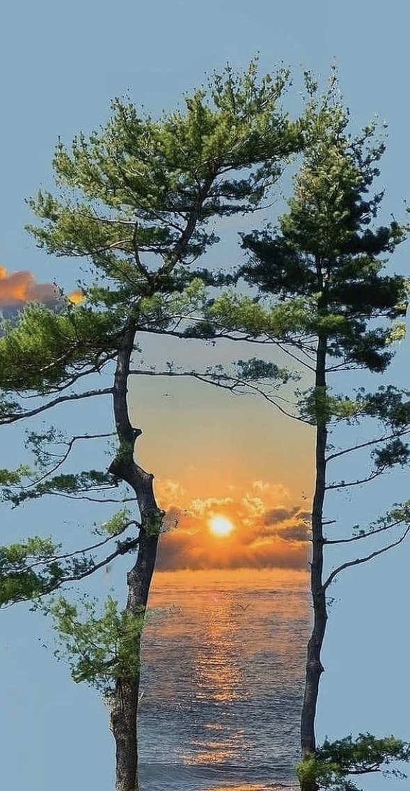 daphney_mp's tweet image. Good evening✨