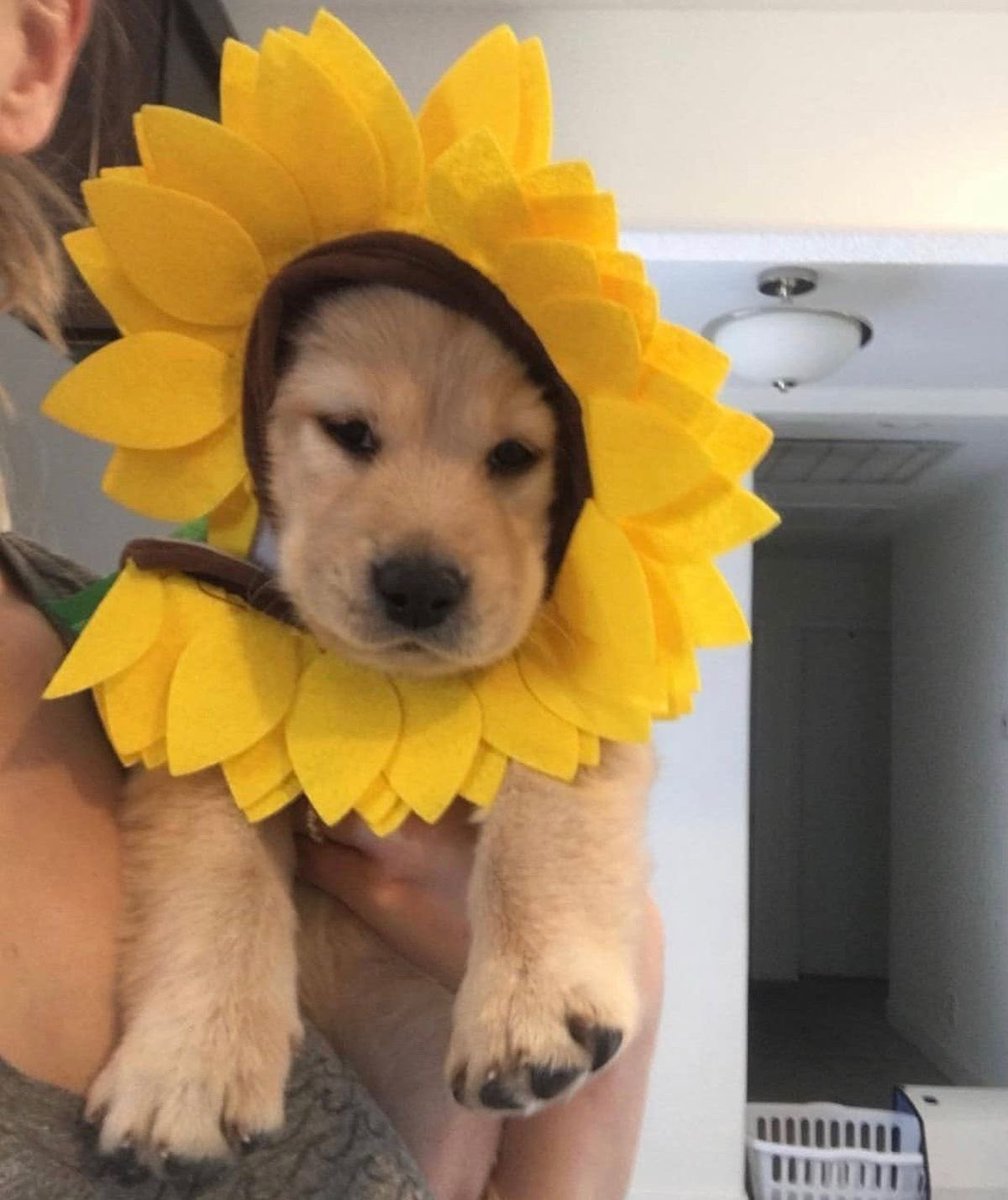 twaniimals's tweet image. 