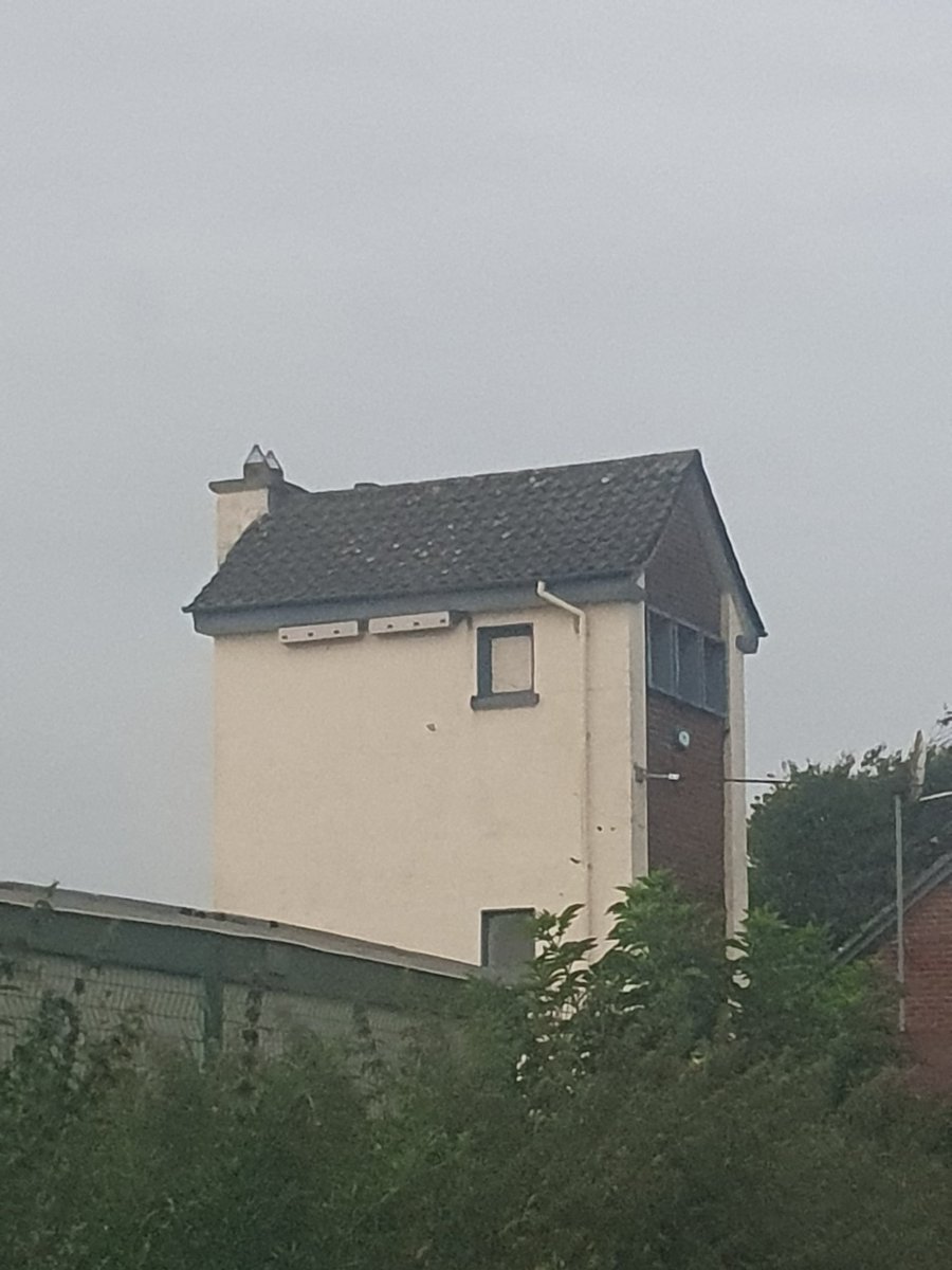Louth Birdwatch Ireland (@louthbwi) on Twitter photo Great to see #swifts have started using the #swiftnestboxes put up by <a href="/BirdWatchIE/">BirdWatch Ireland</a> on behalf <a href="/louthcoco/">Louth County Council</a> last year. Four pairs using the tower of which at least two are in the boxes at Tallanstown NS County Louth <a href="/Swiftconserv/">Swift Conservatories</a> <a href="/Tallanstown/">Tallanstown</a> @louthbiod Great to see #swifts have started using the #swiftnestboxes put up by <a href="/BirdWatchIE/">BirdWatch Ireland</a> on behalf <a href="/louthcoco/">Louth County Council</a> last year. Four pairs using the tower of which at least two are in the boxes at Tallanstown NS County Louth <a href="/Swiftconserv/">Swift Conservatories</a> <a href="/Tallanstown/">Tallanstown</a> @louthbiod