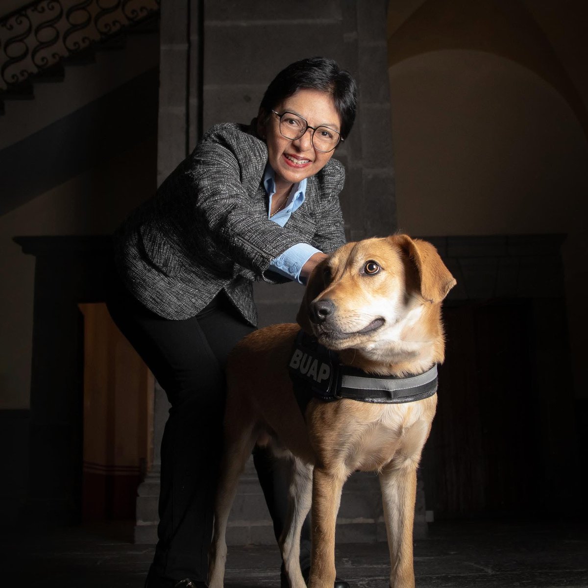 ¿Hay algo que no haga bien?
Es rectora, científica… ¡y protectora oficial de lomitos! 🐶💜
Dale like si tú también crees que el mundo necesita más líderes con corazón. 🫶
#TíaLilia #OrgulloBUAP #LomitosFelices