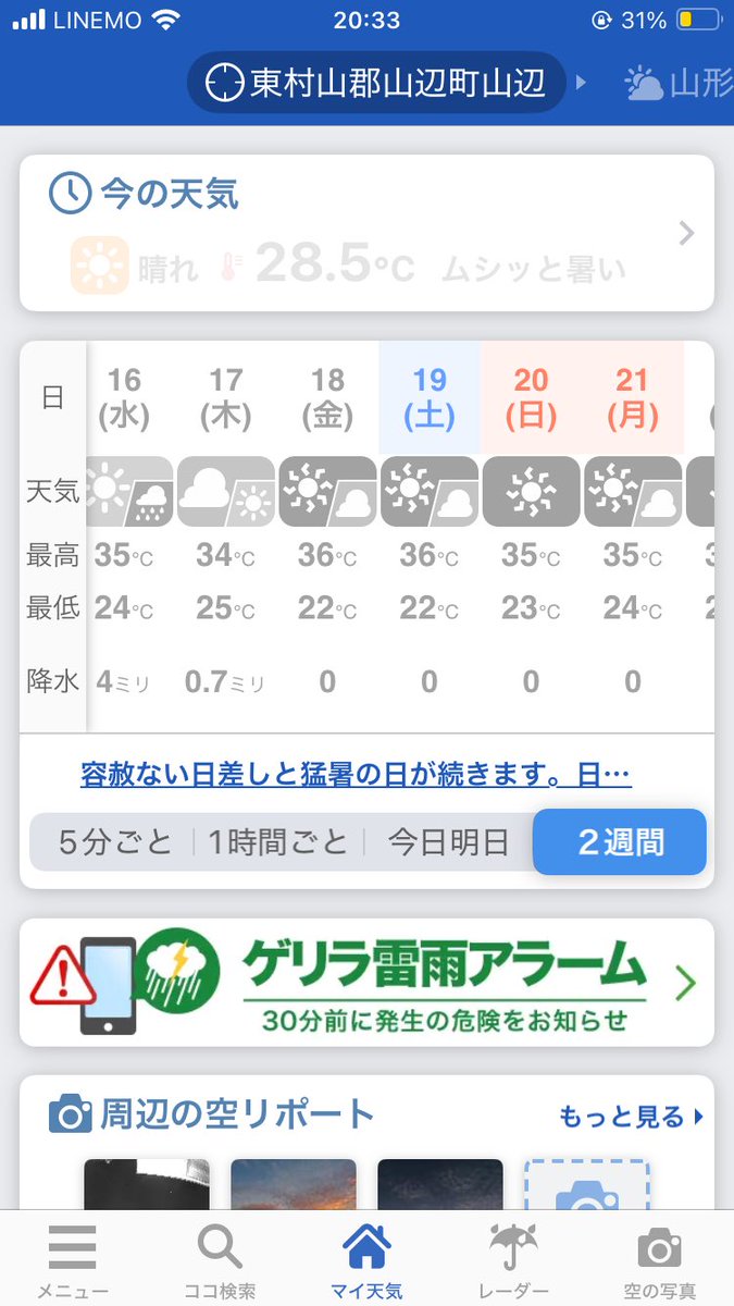 Otento_farm's tweet image. とうもろこし、収穫する前に枯れました。
高温旱魃による免疫力の低下による病気の発生と、水分不足によるダメージのダブルパンチ。梅雨に雨がほぼ降らないことや7月中に2週間35℃超えが続くことは事前に想定しておりませんで、灌水装備もできませんで、こうなりました。

ほんと助けて誰かって感じ。