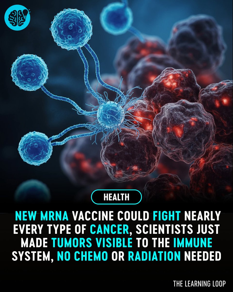JaysonDC123's tweet image. A revolutionary mRNA vaccine developed by scientists at the University of Florida could change the way we treat cancer forever. Unlike chemotherapy, radiation, or surgery, this vaccine trains the immune system to recognize and destroy tumors without toxic side effects. It boosts…