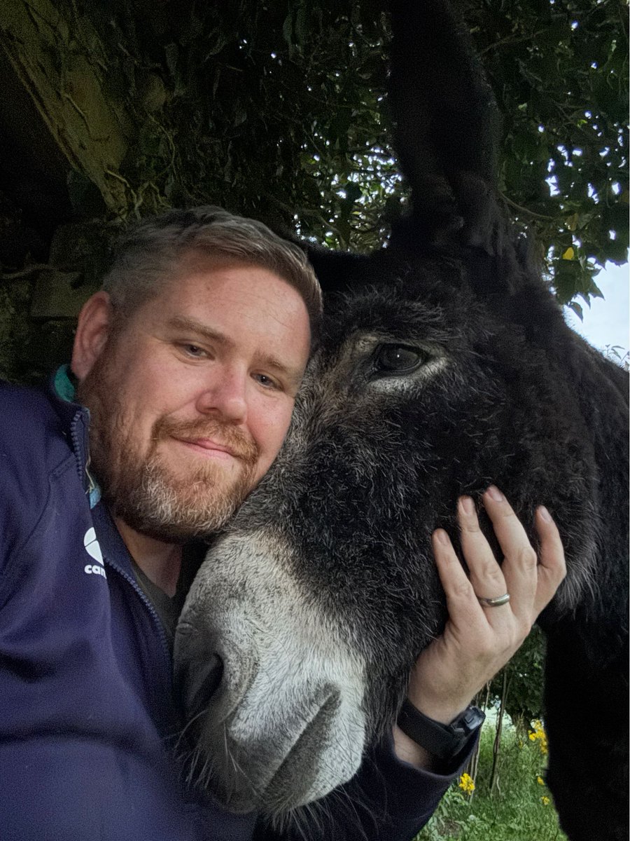 denkmit's tweet image. The world would be a better place if everyone had a donkey that liked cuddles