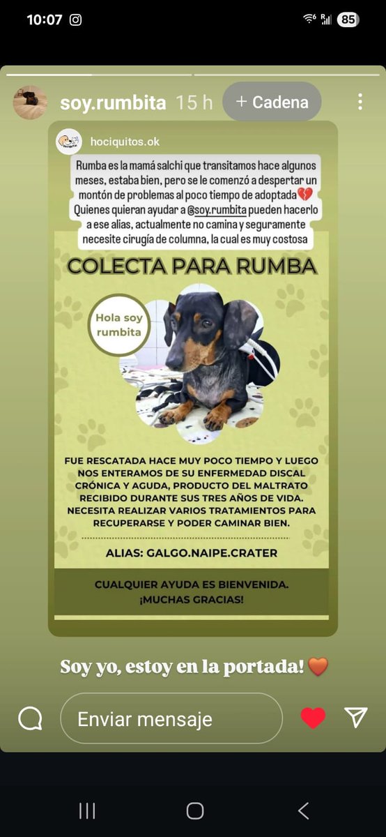 pablo comelli (@pablocomelli) on Twitter photo 