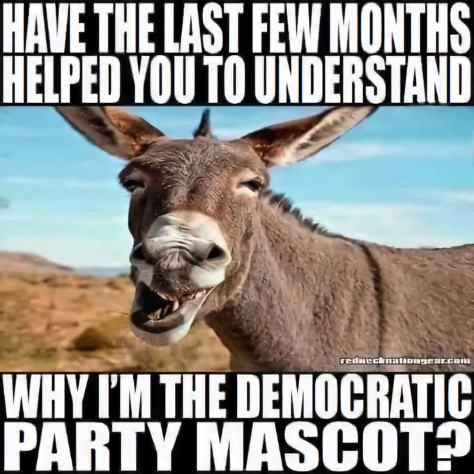 <a href="/iAnonPatriot/">American AF 🇺🇸</a> dumb-ASSes