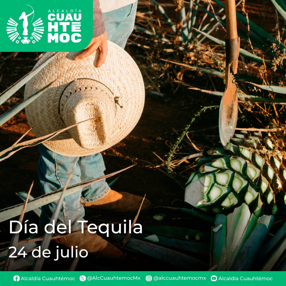 📅 24 de julio | Día Internacional del Tequila
Más que una bebida, es parte de nuestra identidad cultural. ¡Festeja con responsabilidad!