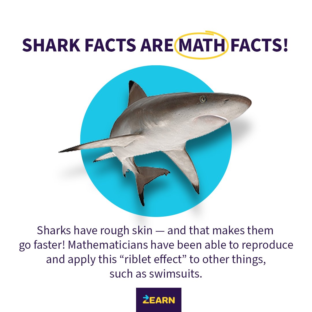 zearned's tweet image. 🌊Math is a great way to dive into the world around us.🤿

Just keep your hands and feet inside the boat! 🚣

#SharkWeek #MathIsEverywhere