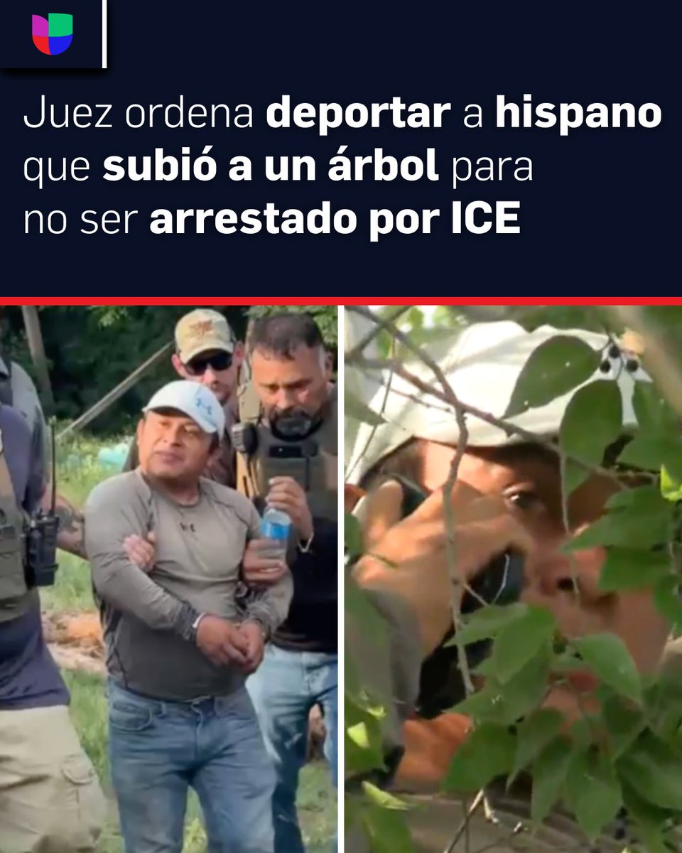 univision34ATL's tweet image. Esto fue lo que el guatemalteco Raymundo Caal le dijo al Juez durante su audiencia: 👉 uni.vi/niGe106gPOA