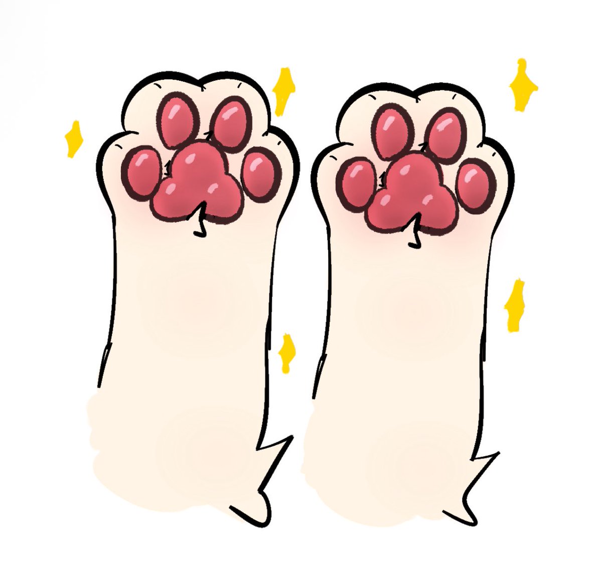 My paws
