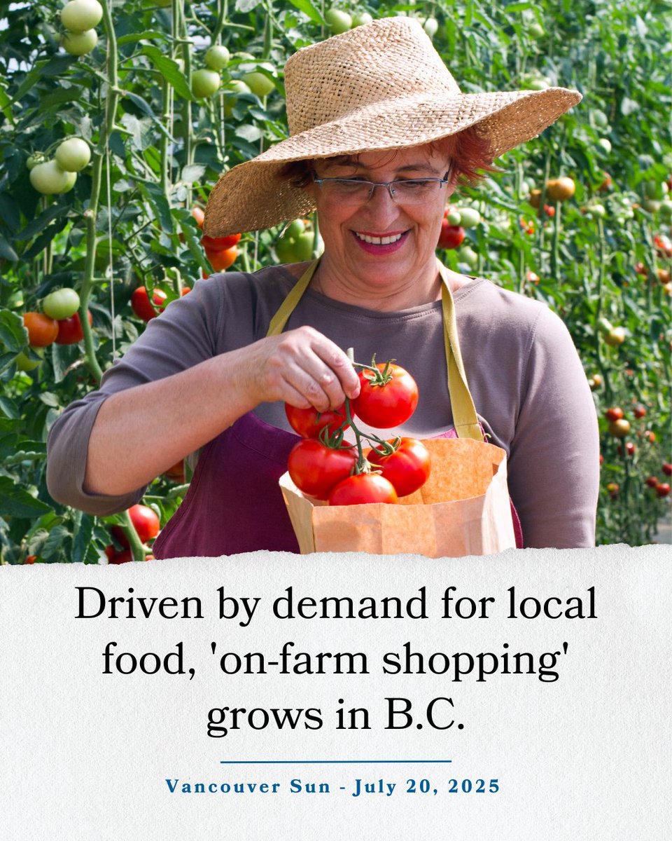 BCGovNews's tweet image. Your choices are making a difference! Every time you choose to buy local, you're supporting farmers, reducing the distance food travels and building a stronger BC for the future.