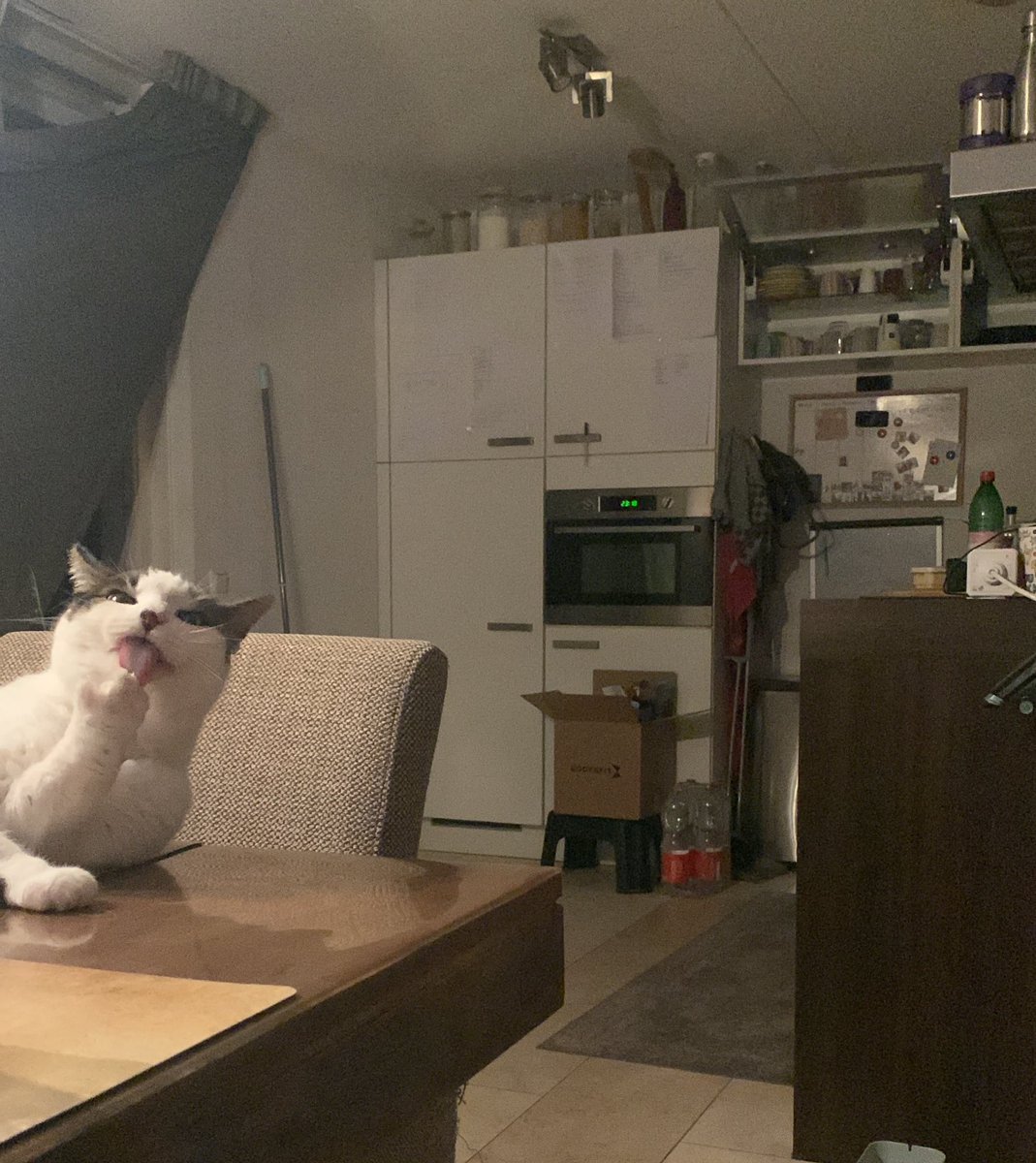TheCatNamedMags's tweet image. Guys rate the kitchen, I think it looks pretty neat