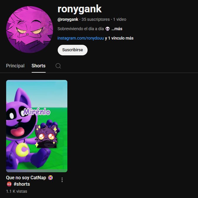 Rony 🐱🖤 tweet media