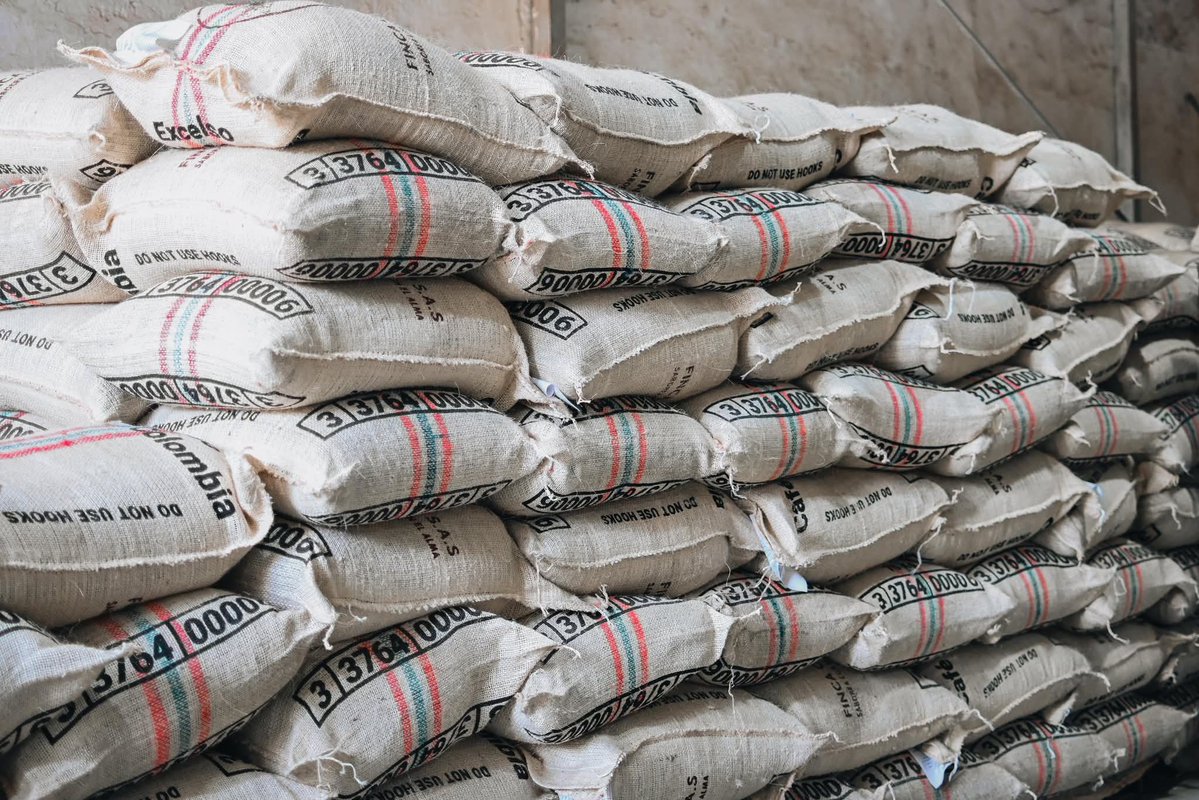 SoyTathanYate's tweet image. "Decían que @petrogustavo estaba l0co... pero miren cómo estamos cambiando la economía de Colombia.
Hoy, más de 52 toneladas de café de alta calidad están listas para ser exportadas a Chengdú, China 🇨🇳, fruto del trabajo de 200 familias caficultoras de nuestras fértiles…