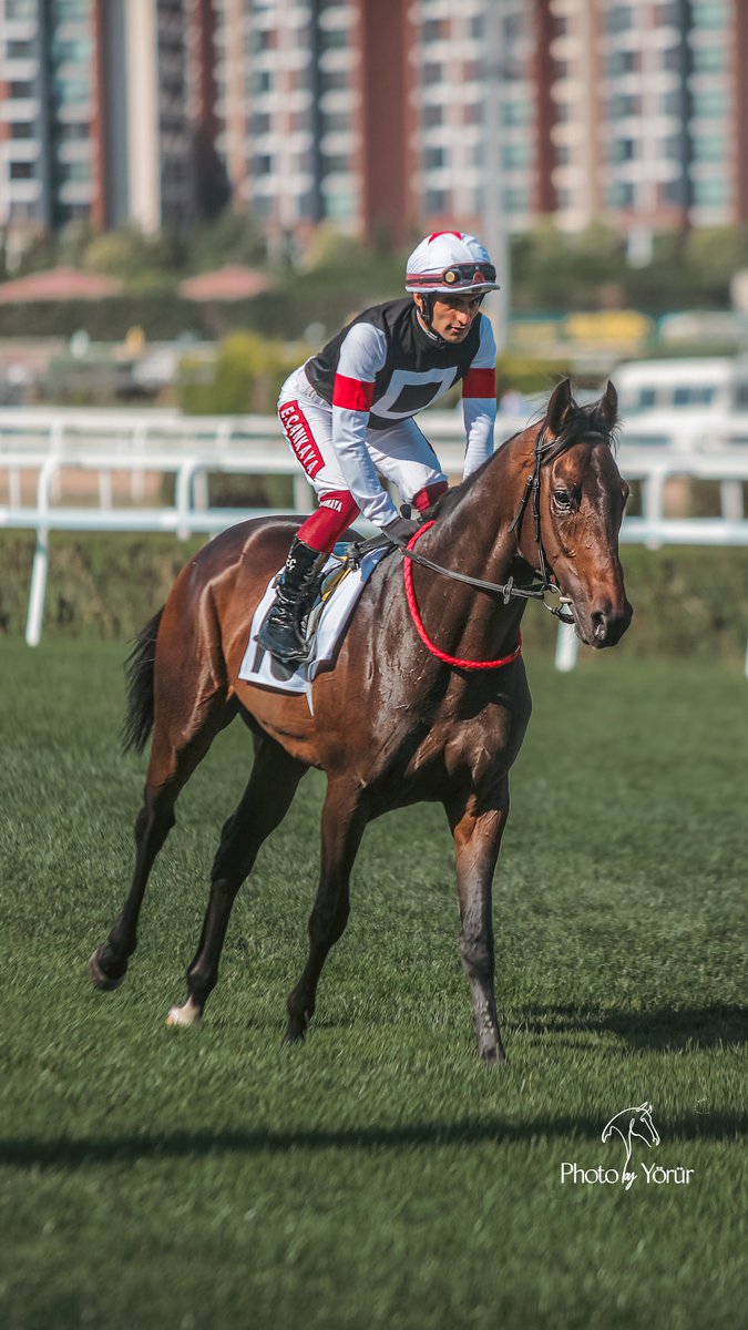 🐴  Hope Breeze
🏇  Ercan Çankaya
📅  29.06.2025
📌  Veliefendi Hipodromu

<a href="/Ercancankaya06/">Ercan çankaya</a>