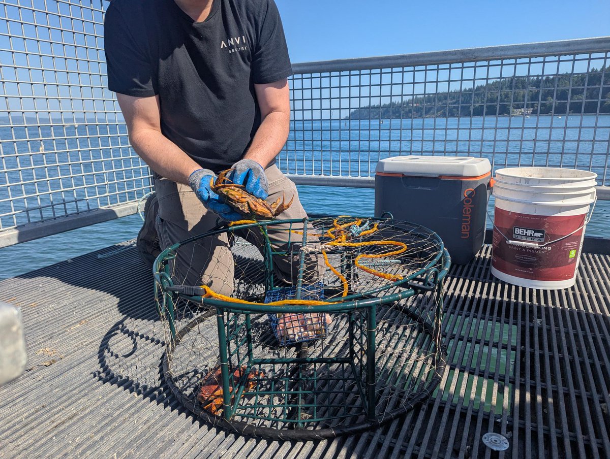 Anvil Secure (@anvil_secure) on Twitter photo From bug hunting to crab catching...what can’t the <a href="/anvil_secure/">Anvil Secure</a> team do? 😁
A couple of our engineers took advantage of the Seattle sunshine yesterday for a day of crabbing. 🦀 Fresh air, scenic views, and a well-earned break from the screen. From bug hunting to crab catching...what can’t the <a href="/anvil_secure/">Anvil Secure</a> team do? 😁
A couple of our engineers took advantage of the Seattle sunshine yesterday for a day of crabbing. 🦀 Fresh air, scenic views, and a well-earned break from the screen.